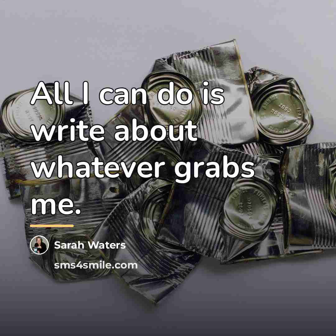 “All I can do is write about whatever grabs me.…” quote by Sarah Waters