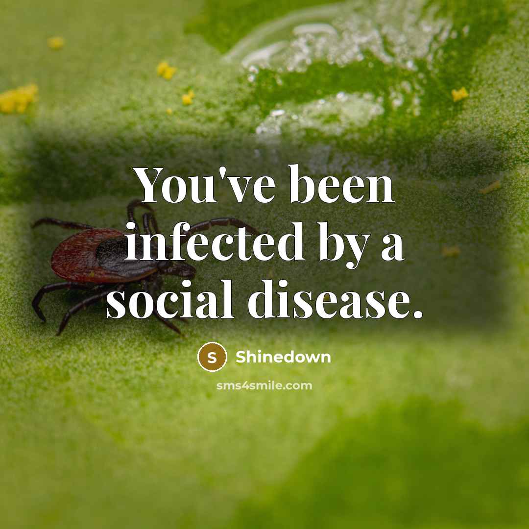 “You've been infected by a social disease.” quote by Shinedown