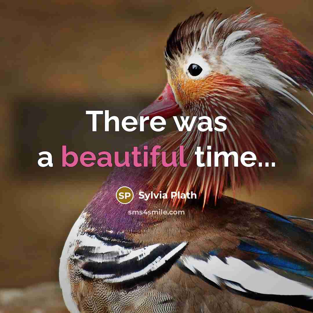 “There was a beautiful time...…” quote by Sylvia Plath