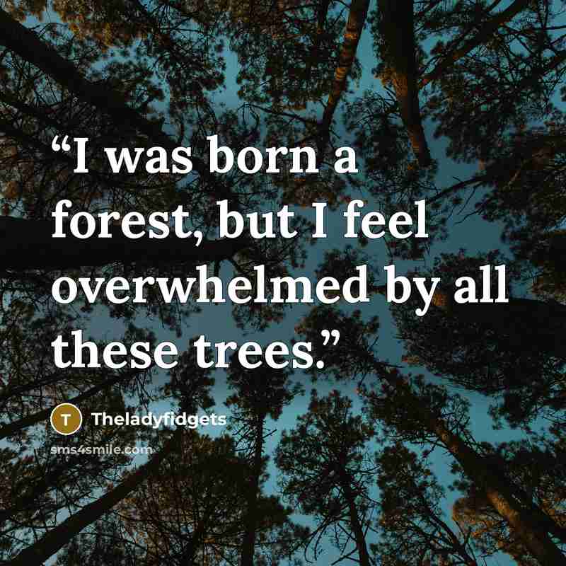 “I was born a forest, but I feel overwhelmed by all these trees.” quote by Theladyfidgets