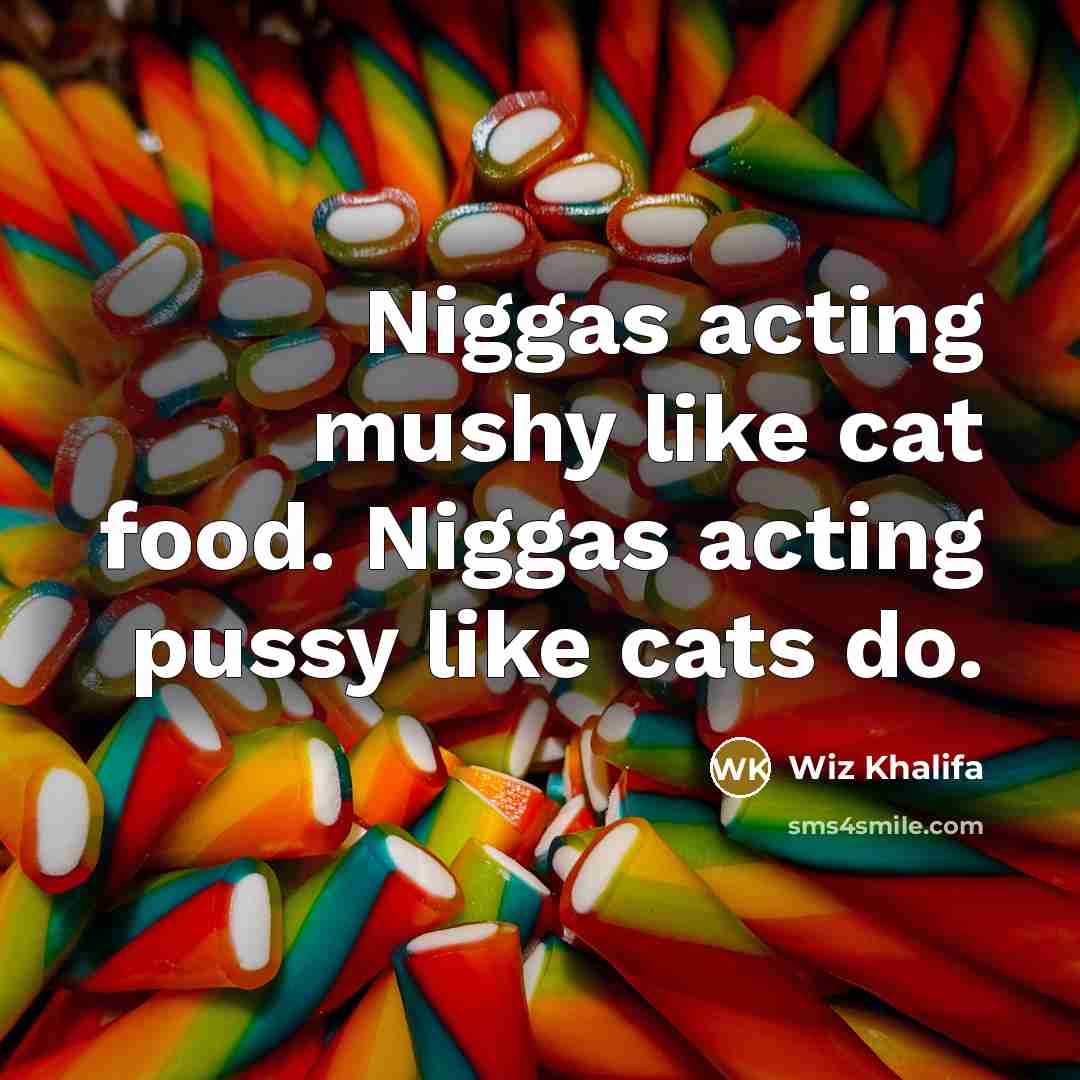 “Niggas acting mushy like cat food. Niggas acting pussy like…” quote by Wiz Khalifa