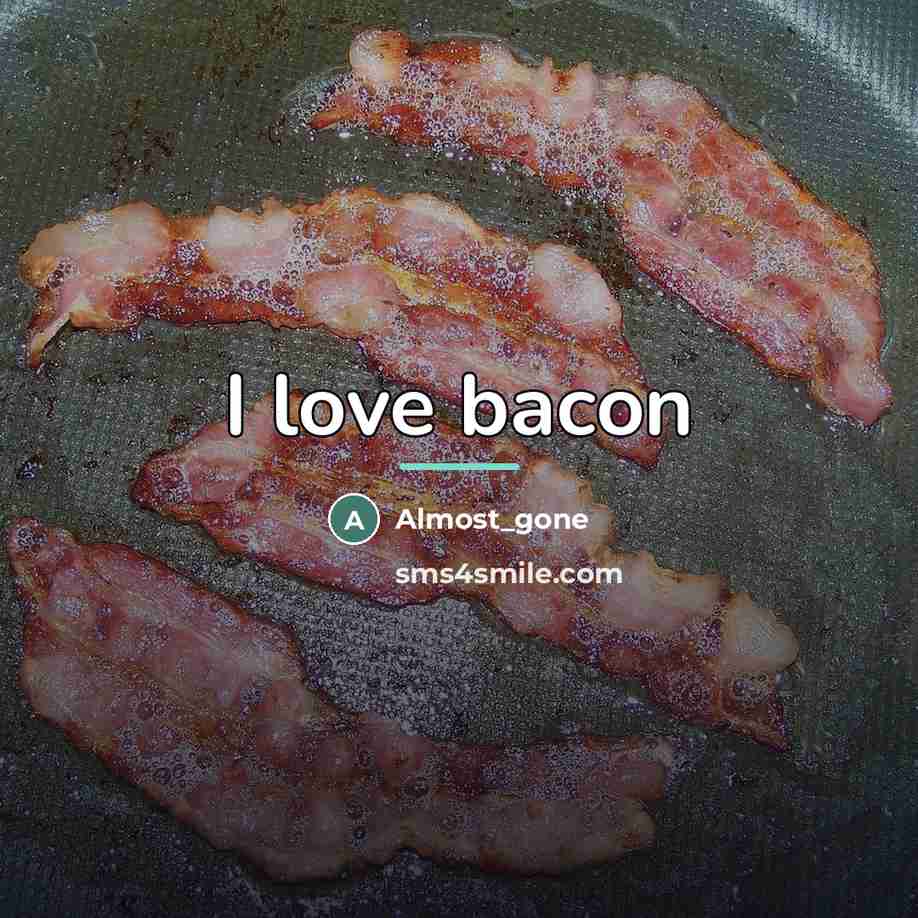 “I love bacon…” quote by Almost_gone