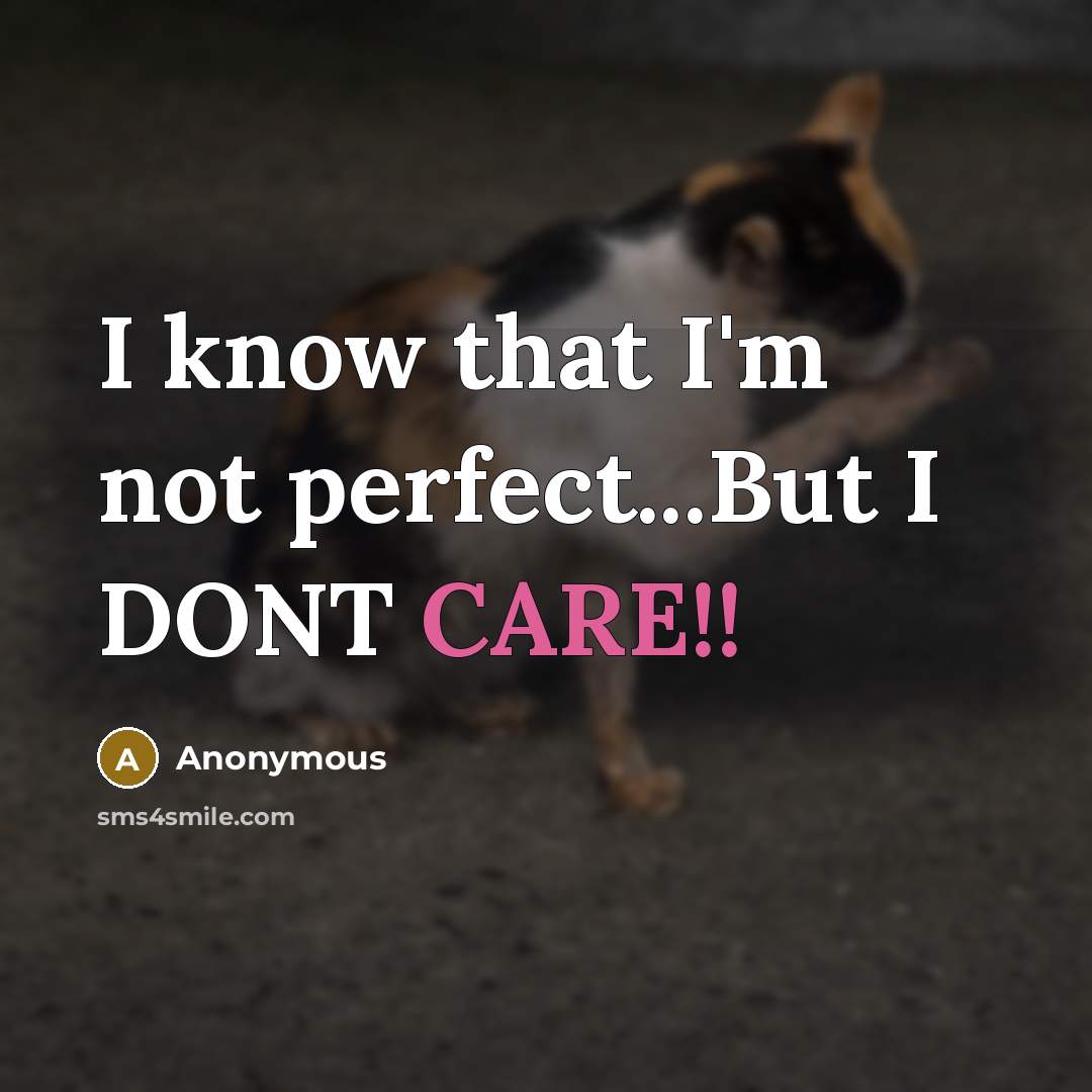 “I know that I'm not perfect...But I DONT CARE!!” quote by Anonymous