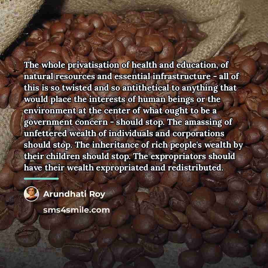 “The whole privatisation of health and education, of natural resources…” quote by Arundhati Roy