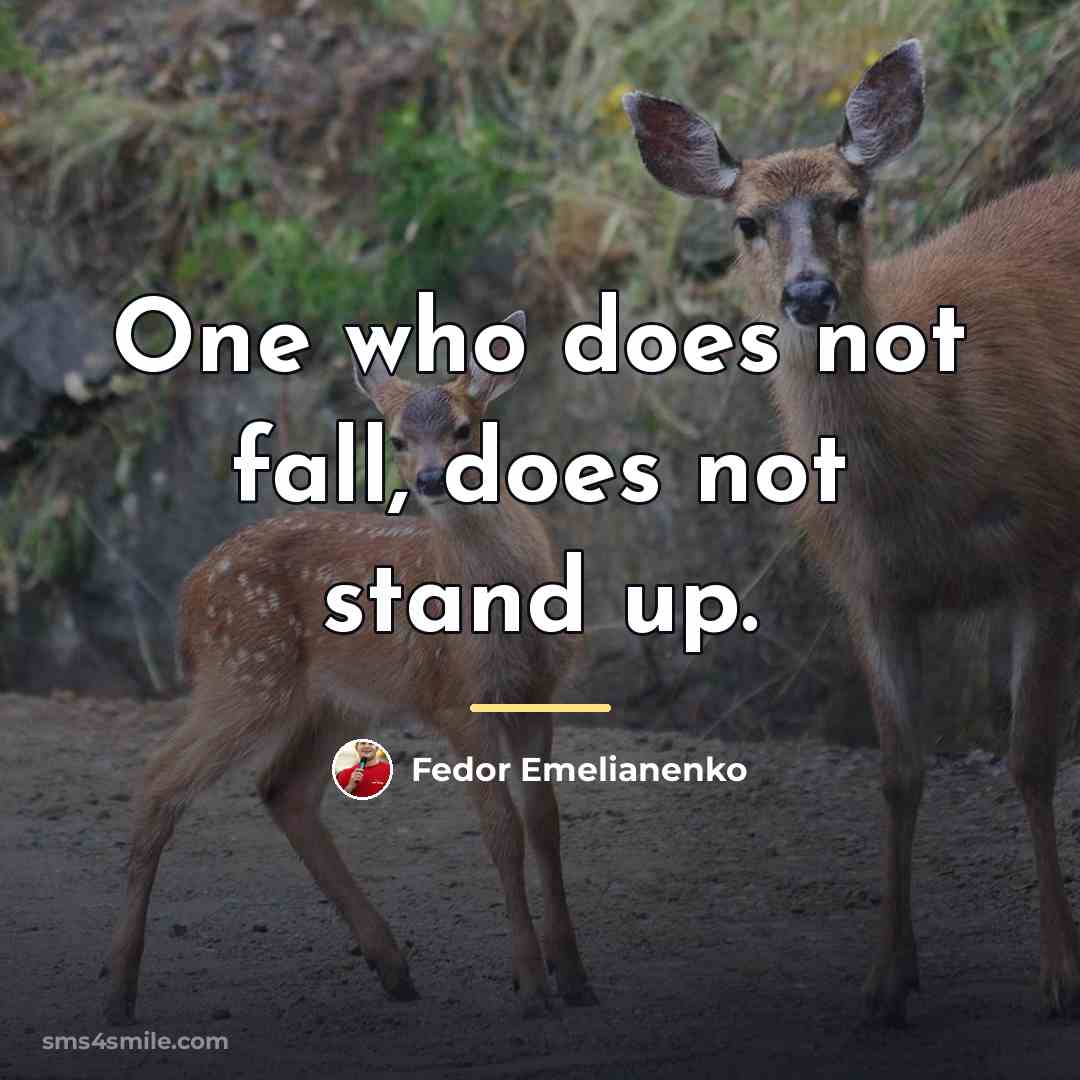 “One who does not fall, does not stand up.…” quote by Fedor Emelianenko