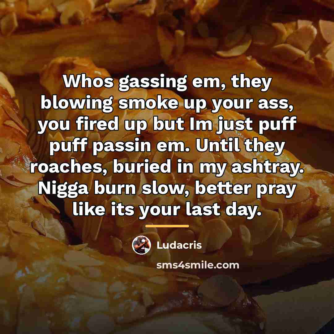 “Whos gassing em, they blowing smoke up your ass, you…” quote by Ludacris