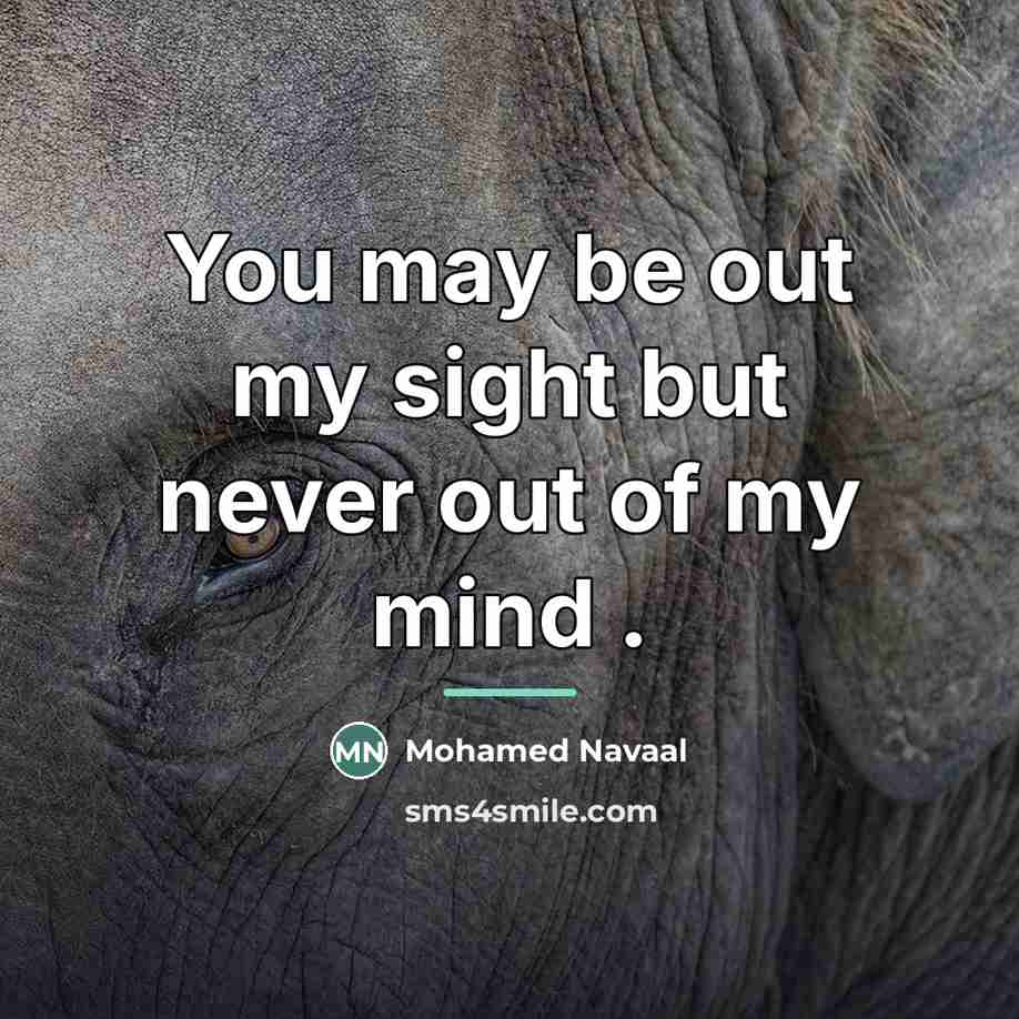 “You may be out my sight but never out of…” quote by Mohamed Navaal