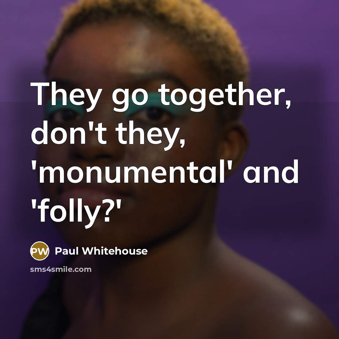 “They go together, don't they, 'monumental' and 'folly?'” quote by Paul Whitehouse