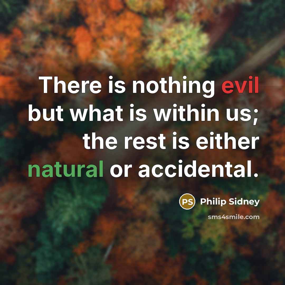 “There is nothing evil but what is within us; the rest is either natural or accidental.” quote by Philip Sidney