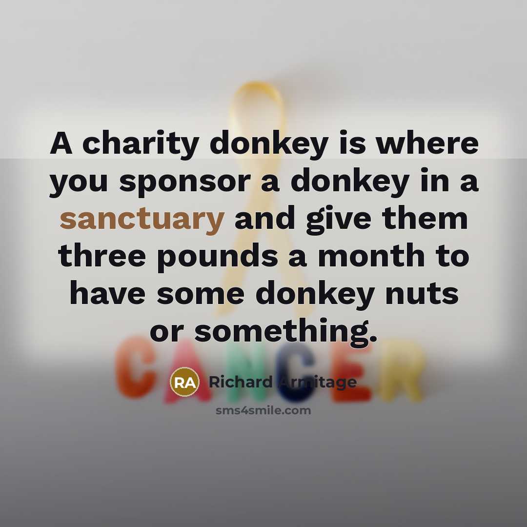 “A charity donkey is where you sponsor a donkey in…” quote by Richard Armitage