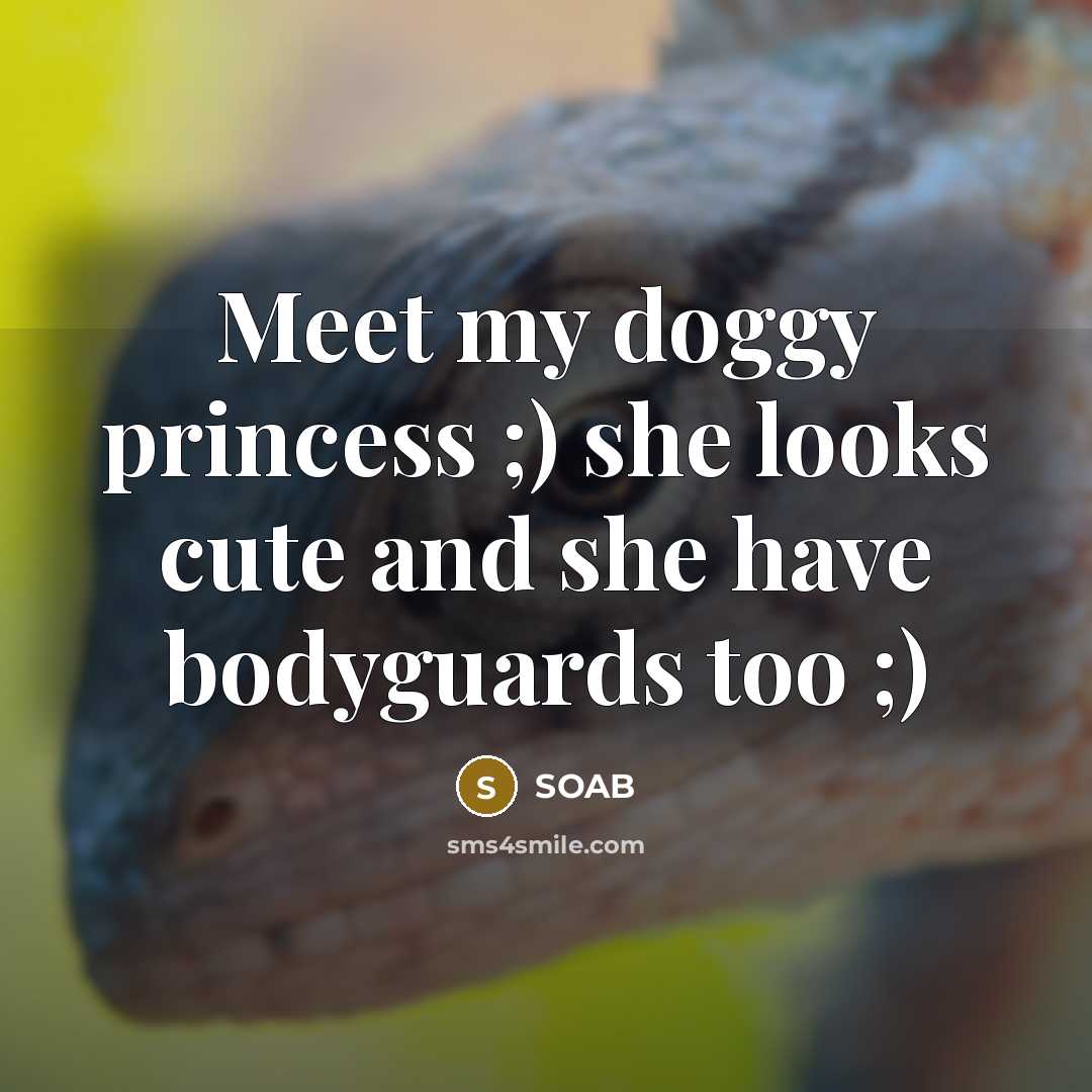 “Meet my doggy princess ;) she looks cute and she have bodyguards too ;)” quote by SOAB