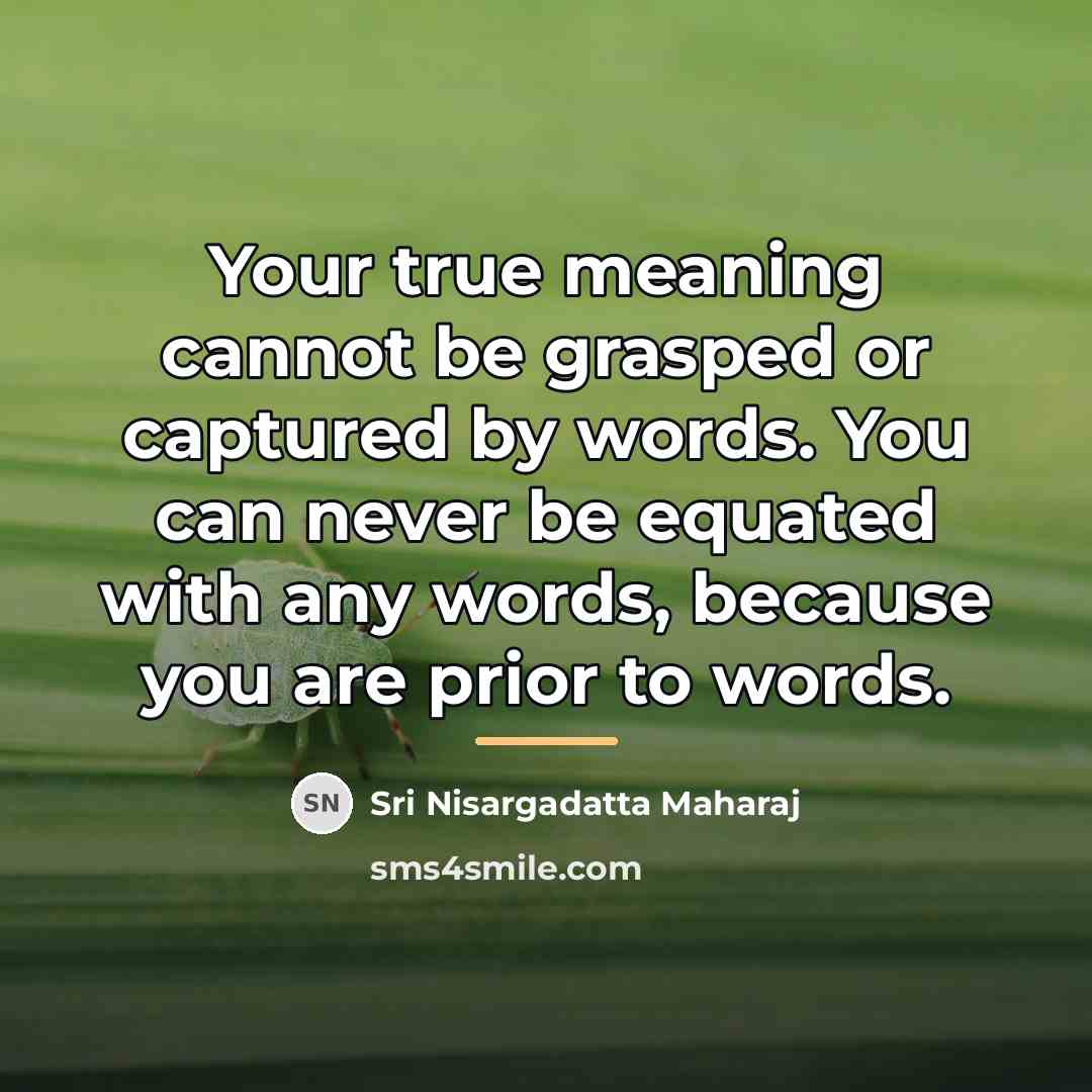 “Your true meaning cannot be grasped or captured by words.…” quote by Sri Nisargadatta Maharaj
