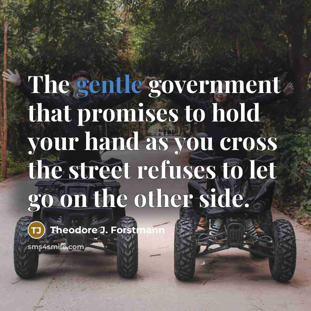 “The gentle government that promises to hold your hand as…” quote by Theodore J. Forstmann