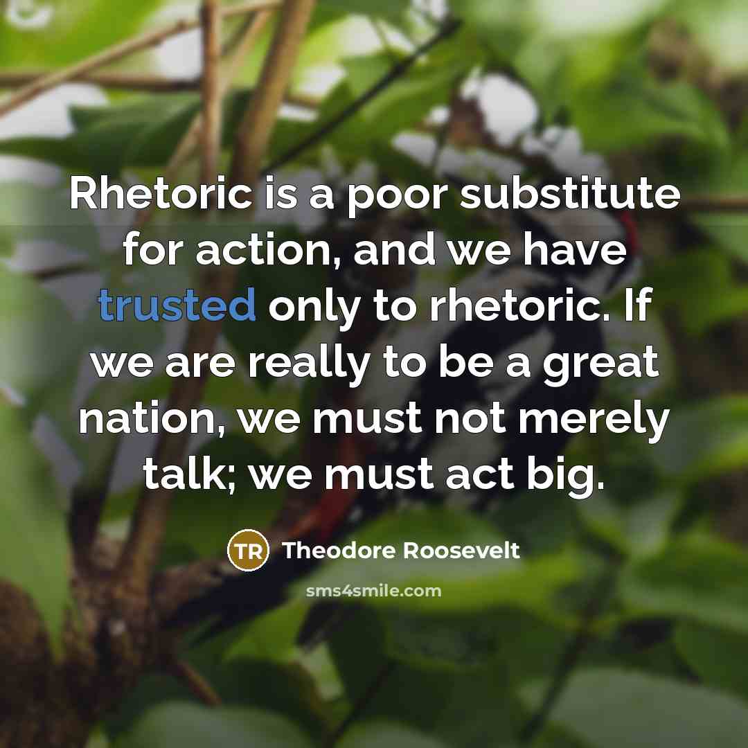 “Rhetoric is a poor substitute for action, and we have…” quote by Theodore Roosevelt