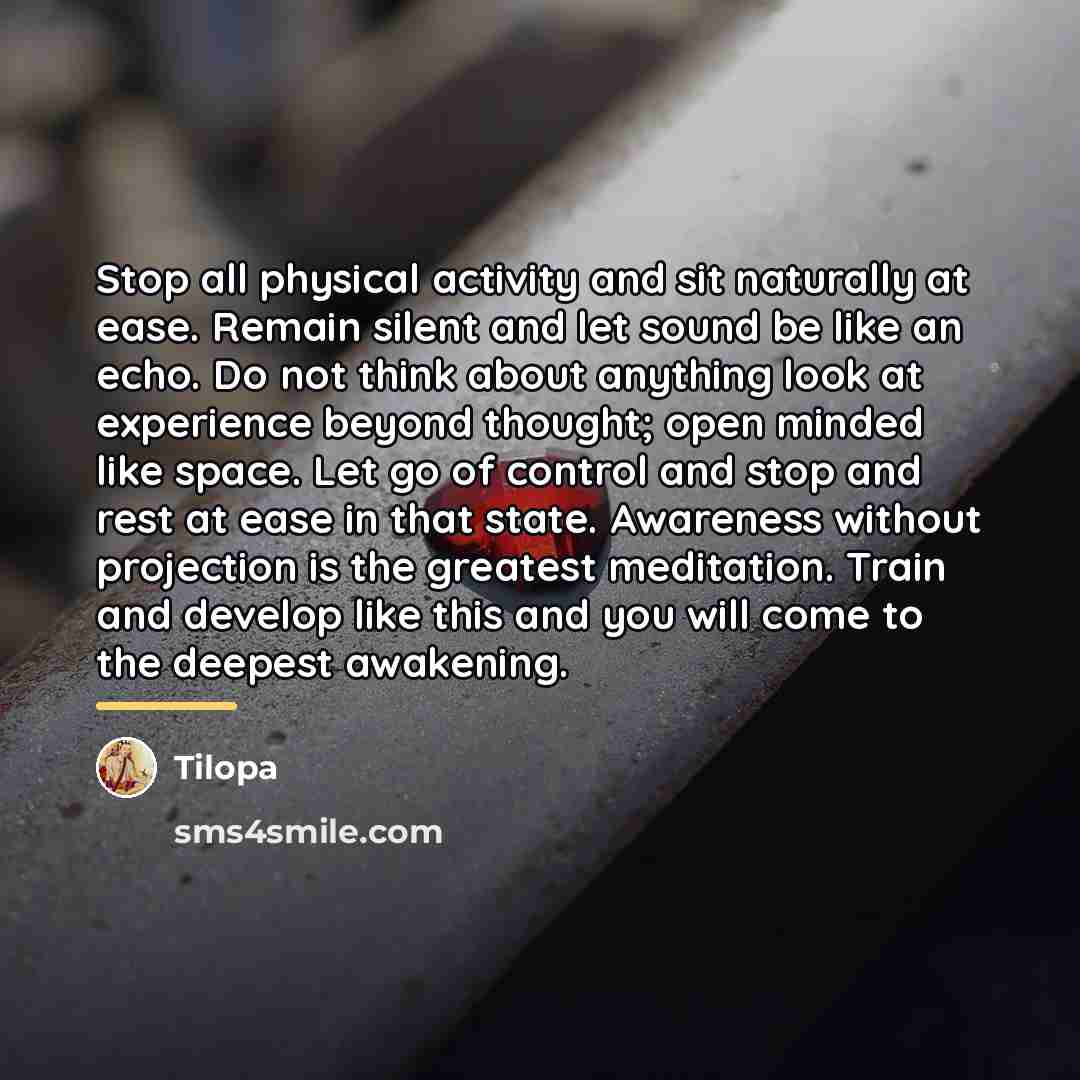 “Stop all physical activity and sit naturally at ease. Remain…” quote by Tilopa