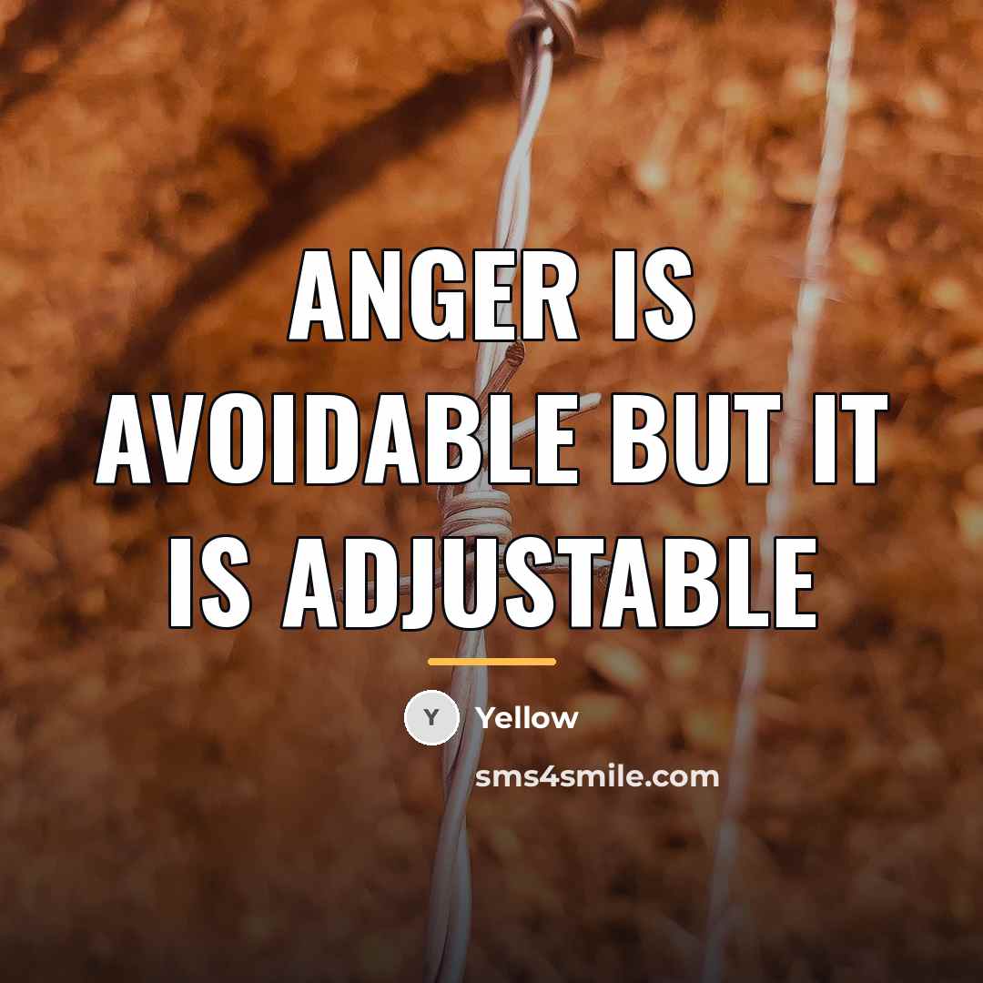 “Anger is avoidable but it is adjustable…” quote by Yellow
