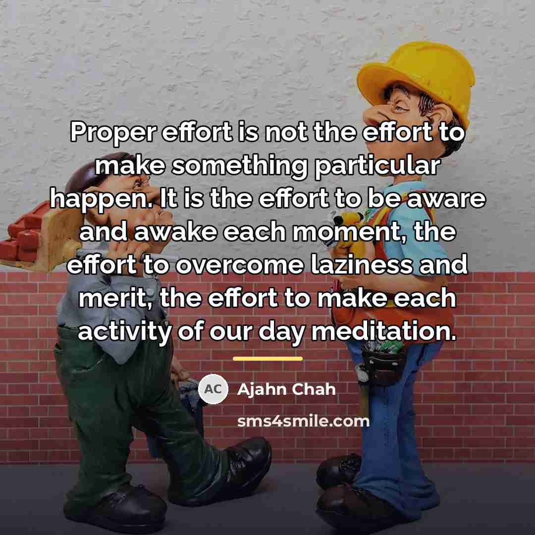 “Proper effort is not the effort to make something particular…” quote by Ajahn Chah