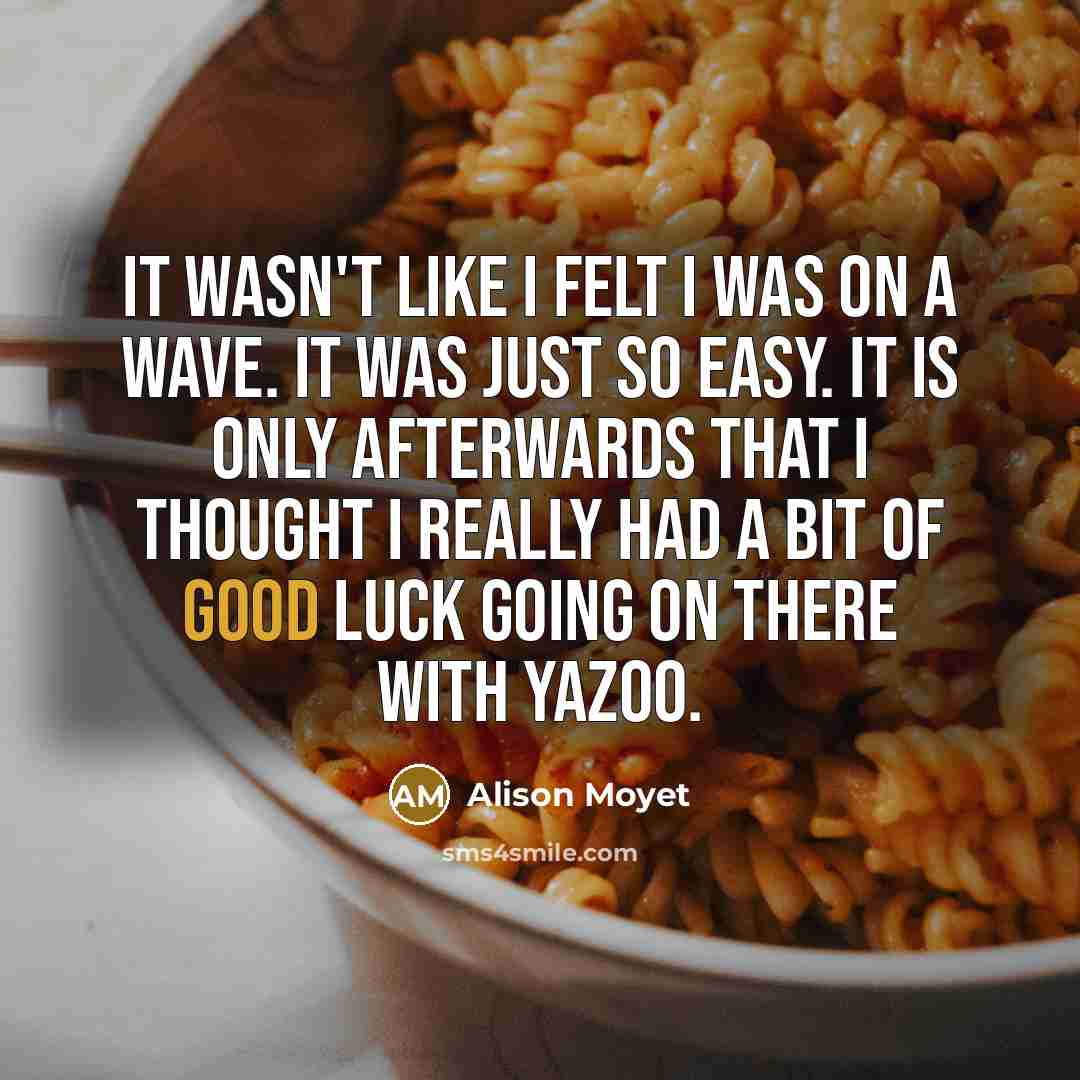 “It wasn't like I felt I was on a wave.…” quote by Alison Moyet