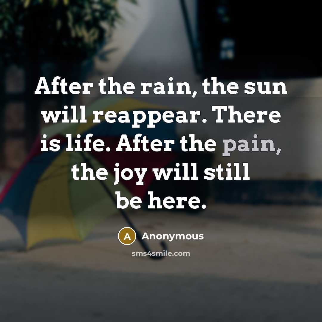 “After the rain, the sun will reappear. There is life.…” quote by Anonymous