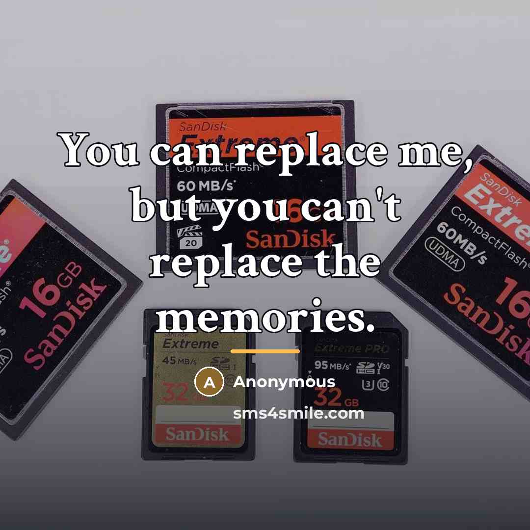 “You can replace me, but you can't replace the memories.…” quote by Anonymous