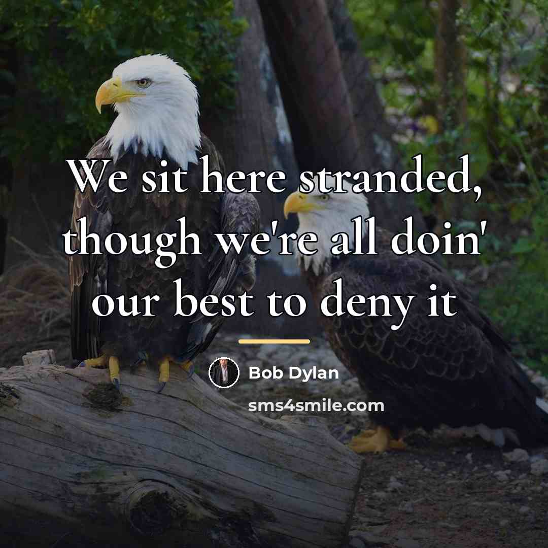 “We sit here stranded, though we're all doin' our best…” quote by Bob Dylan