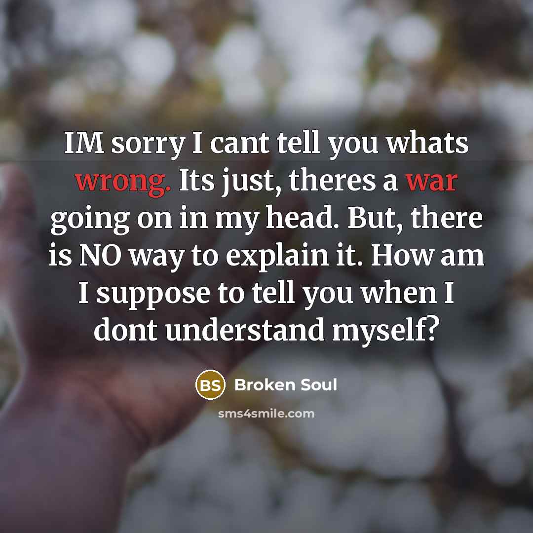 “IM sorry I cant tell you whats wrong. Its just, theres a war going on in my head. But, there is NO way to explain it. How am I suppose to tell you when I dont understand myself?” quote by Broken Soul