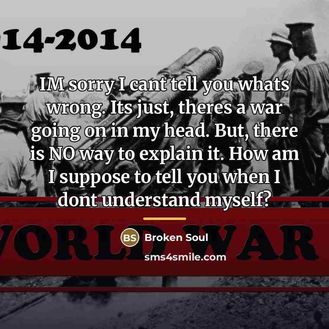 “IM sorry I cant tell you whats wrong. Its just,…” quote by Broken Soul
