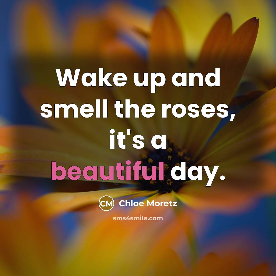 “Wake up and smell the roses, it's a beautiful day.” quote by Chloe Moretz