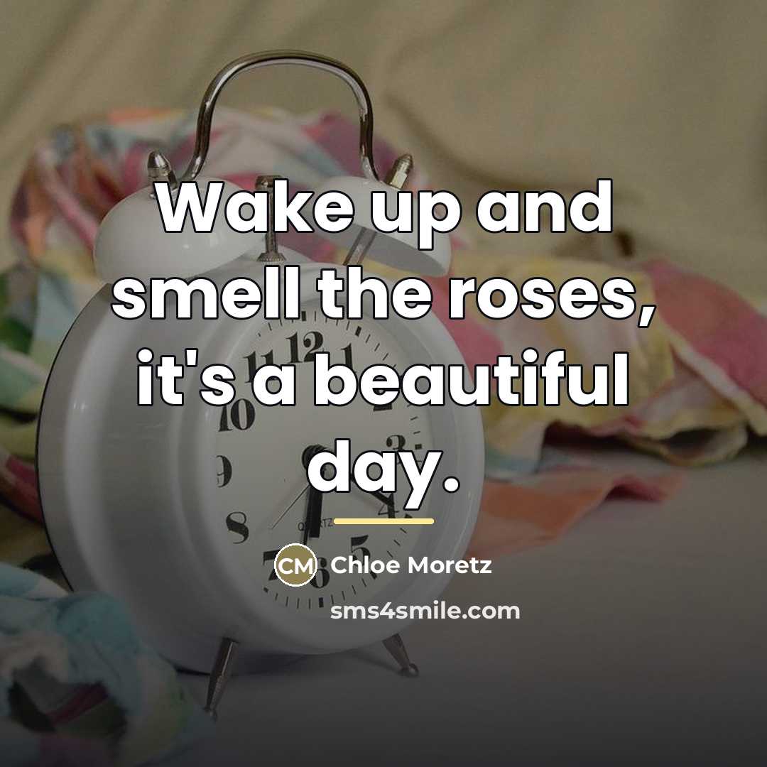 “Wake up and smell the roses, it's a beautiful day.…” quote by Chloe Moretz