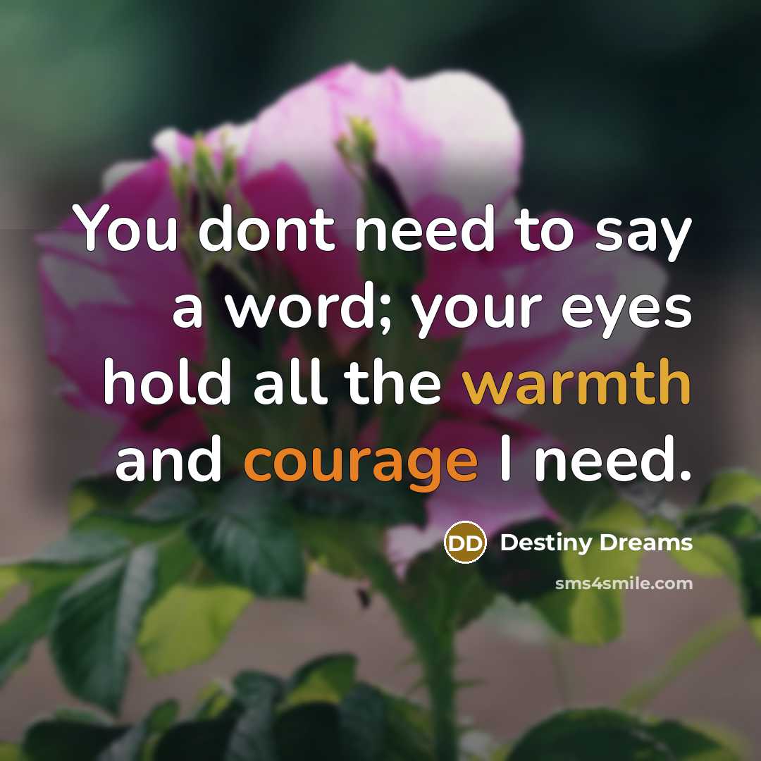 “You dont need to say a word; your eyes hold…” quote by Destiny Dreams