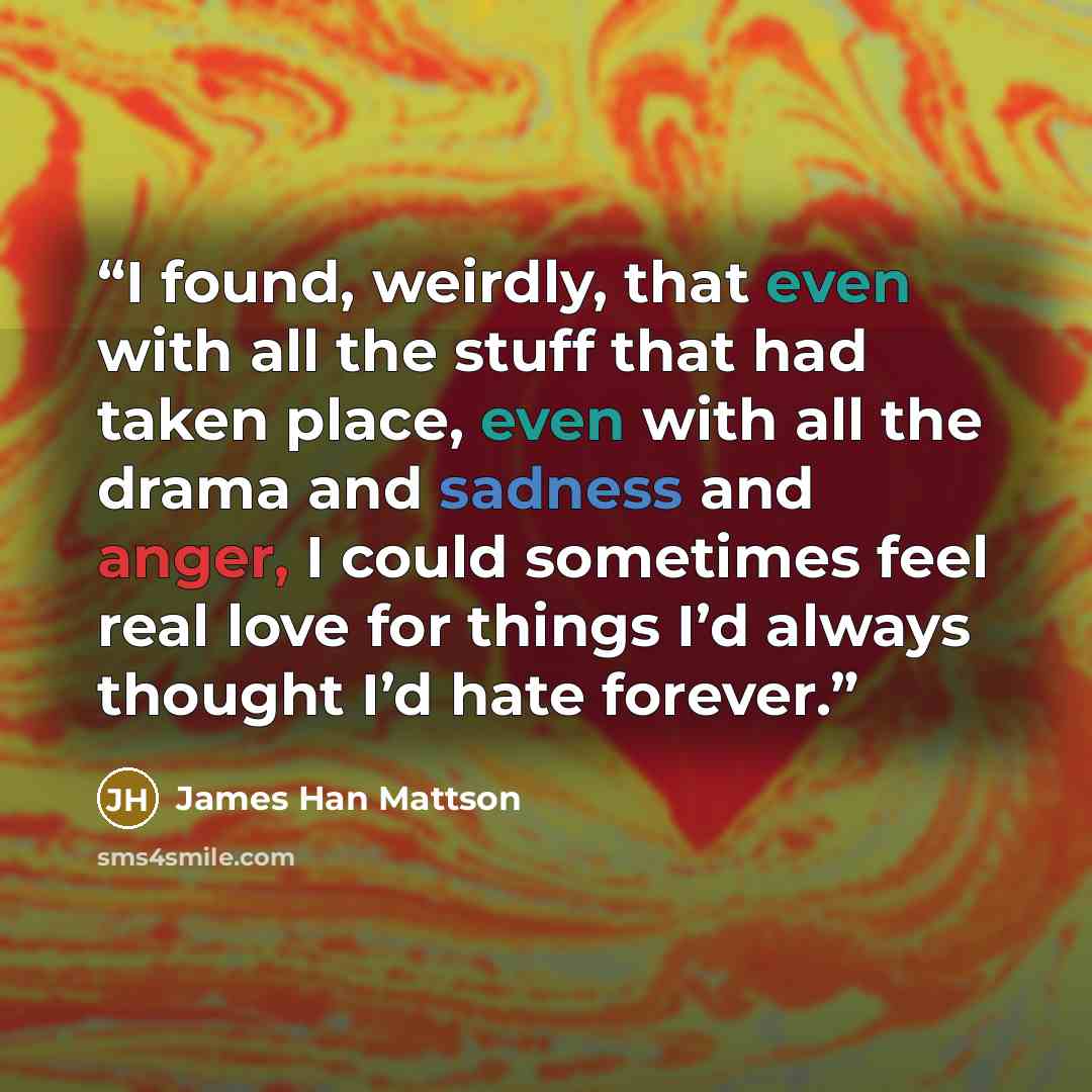 “I found, weirdly, that even with all the stuff that had taken place, even with all the drama and sadness and anger, I could sometimes feel real love for things I’d always thought I’d hate forever.” quote by James Han Mattson