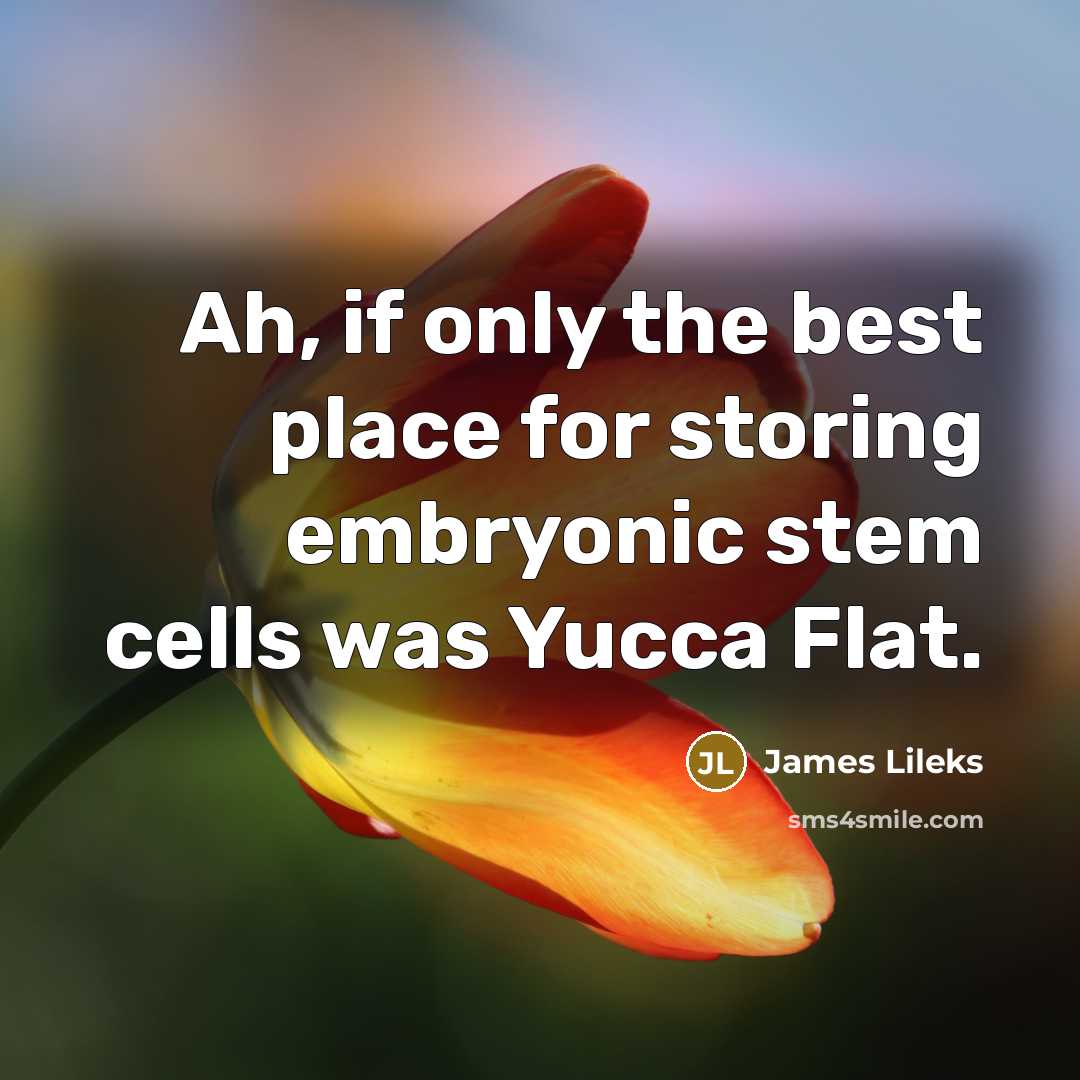 “Ah, if only the best place for storing embryonic stem…” quote by James Lileks