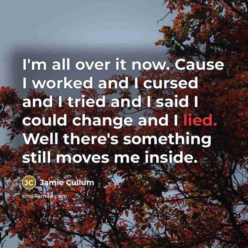 “I'm all over it now. Cause I worked and I…” quote by Jamie Cullum
