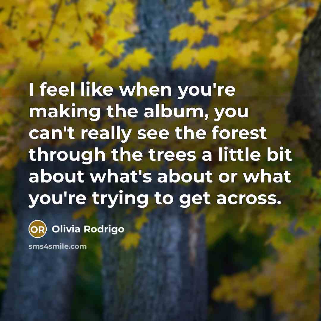 “I feel like when you're making the album, you can't…” quote by Olivia Rodrigo