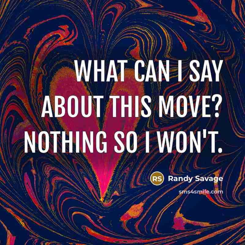 “What can I say about this move? Nothing so I…” quote by Randy Savage