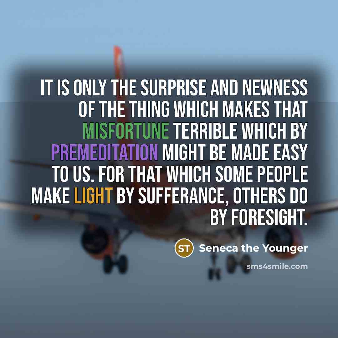 “It is only the surprise and newness of the thing…” quote by Seneca the Younger