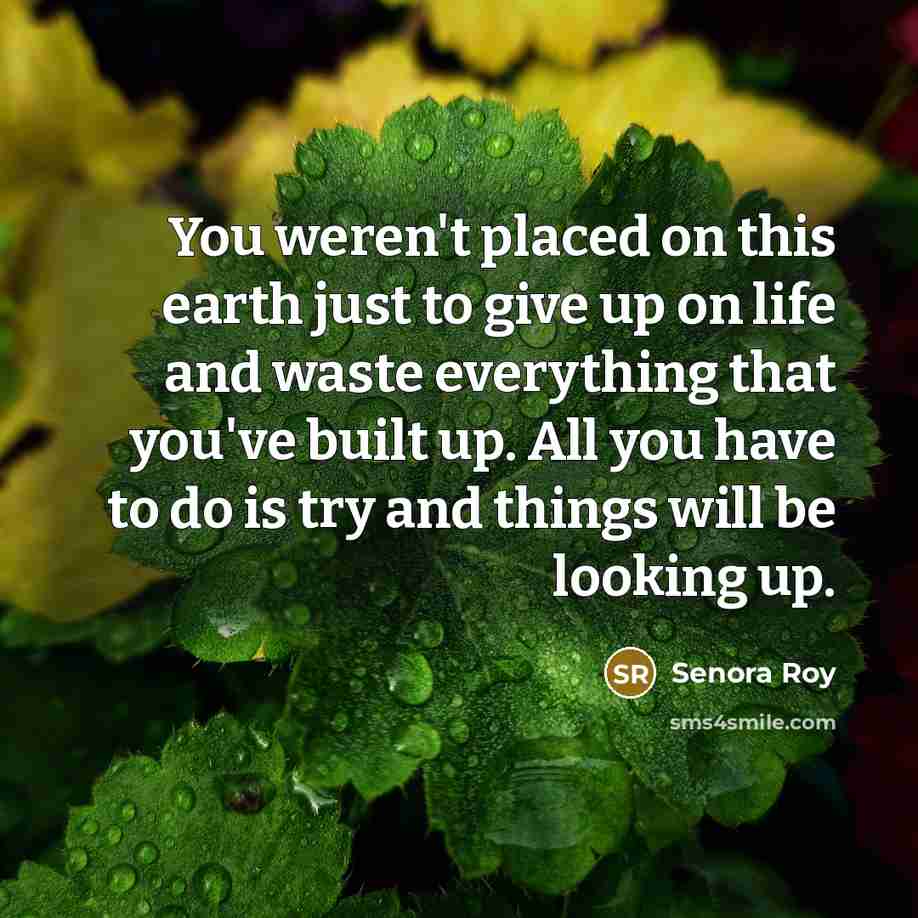 “You weren't placed on this earth just to give up…” quote by Senora Roy