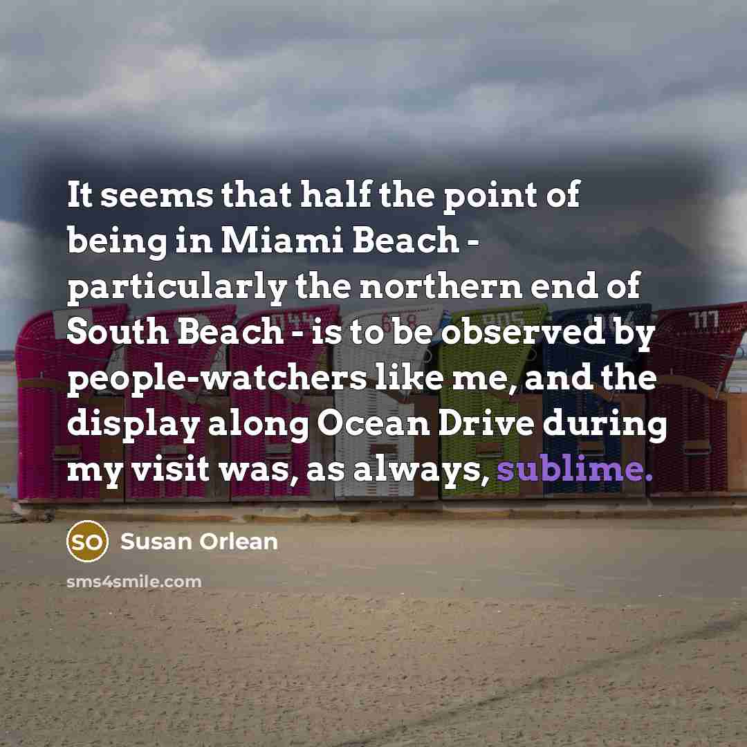 “It seems that half the point of being in Miami…” quote by Susan Orlean