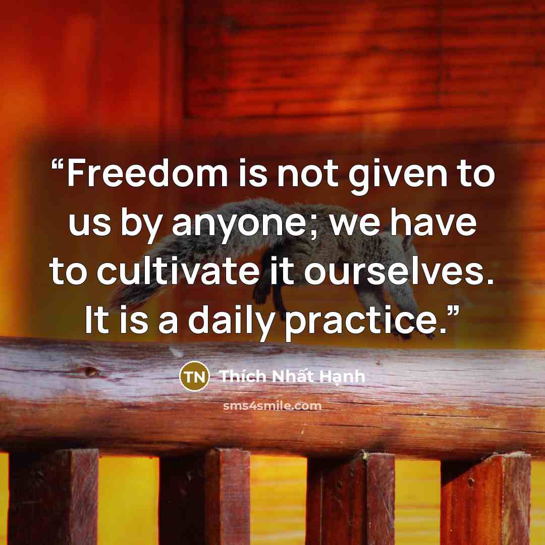 “Freedom is not given to us by anyone; we have to cultivate it ourselves. It is a daily practice.” quote by Thich Nhat Hanh
