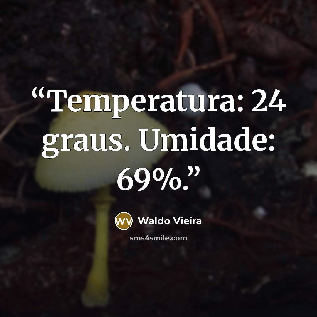 “Temperatura: 24 graus. Umidade: 69%.” quote by Waldo Vieira