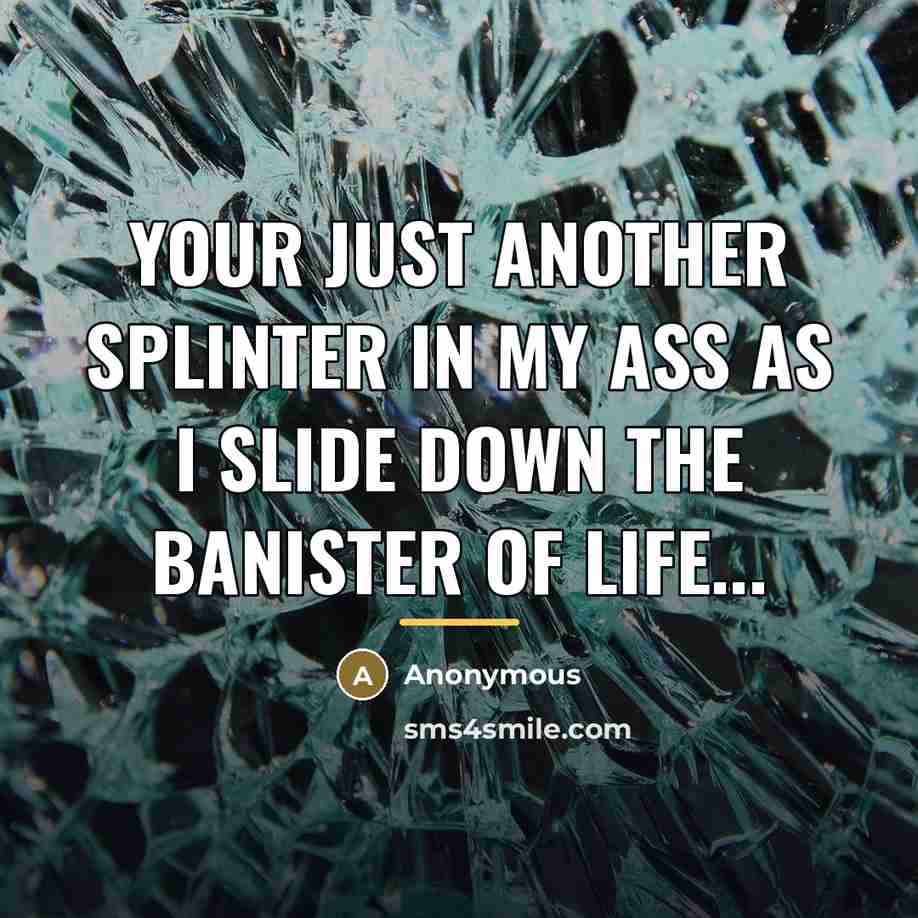 “Your Just Another Splinter in My Ass as I Slide…” quote by Anonymous
