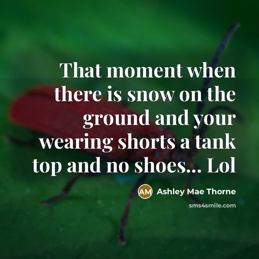 “That moment when there is snow on the ground and…” quote by Ashley Mae Thorne