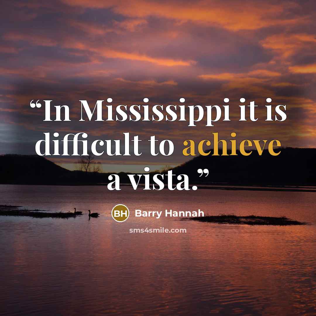 “In Mississippi it is difficult to achieve a vista.” quote by Barry Hannah