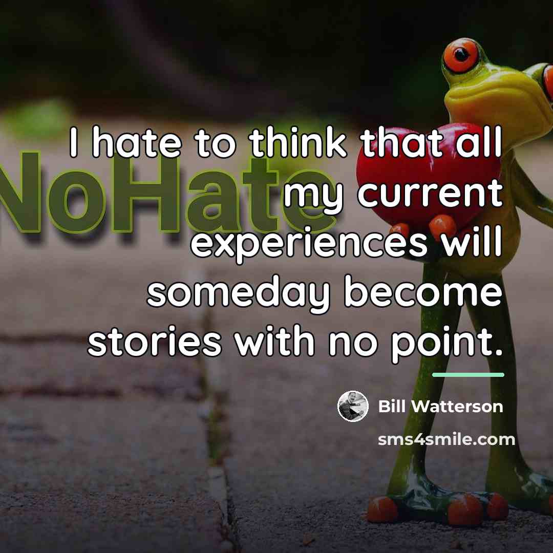 “I hate to think that all my current experiences will…” quote by Bill Watterson