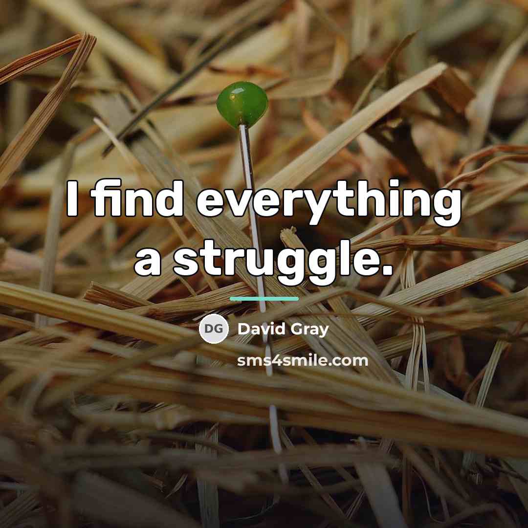 “I find everything a struggle.…” quote by David Gray