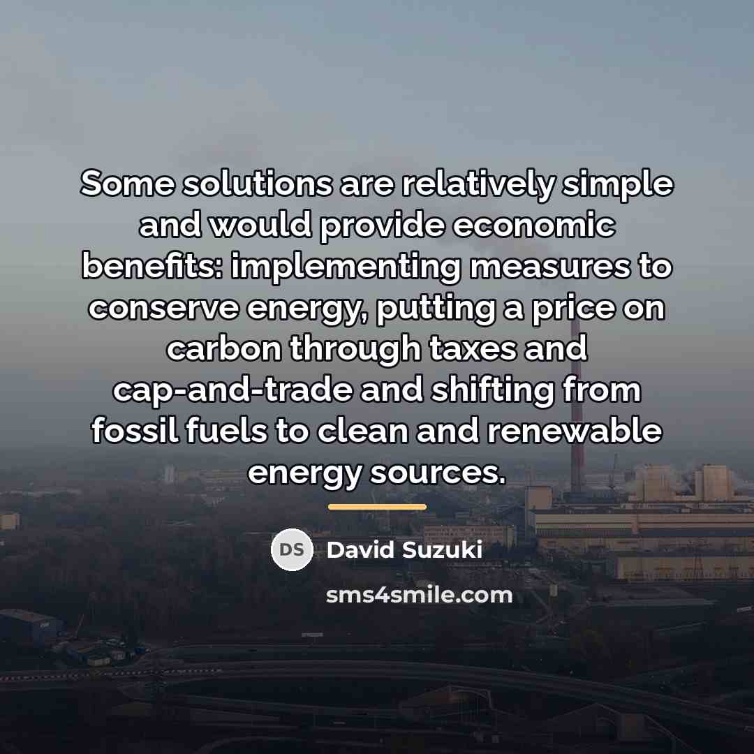 “Some solutions are relatively simple and would provide economic benefits:…” quote by David Suzuki