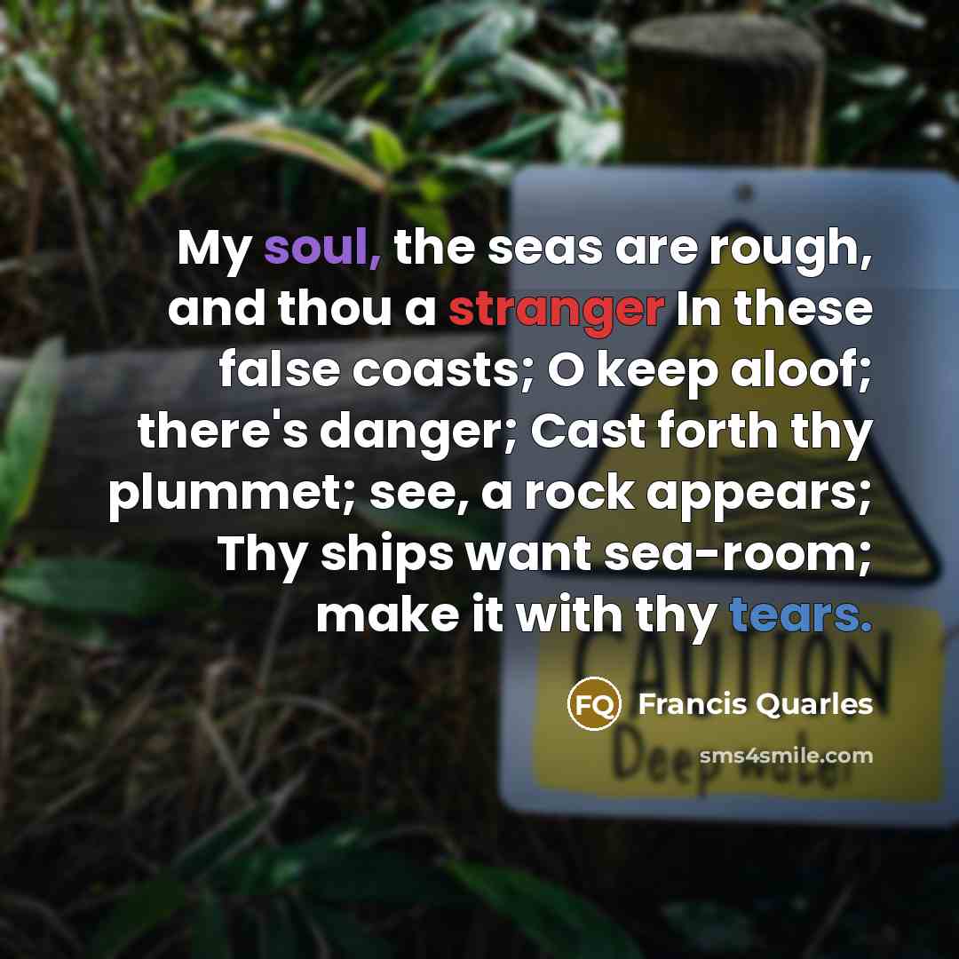 “My soul, the seas are rough, and thou a stranger…” quote by Francis Quarles