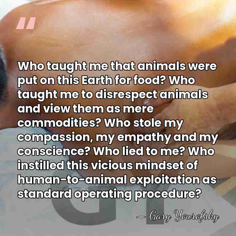 Who taught me that animals were put on this Earth for food?&hellip; - Gary Yourofsky