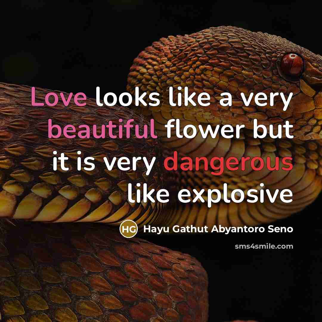 “Love looks like a very beautiful flower but it is very dangerous like explosive” quote by Hayu Gathut Abyantoro Seno