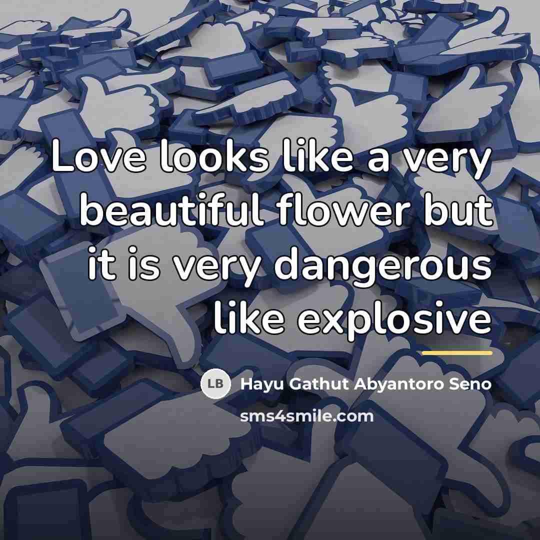 “Love looks like a very beautiful flower but it is…” quote by Hayu Gathut Abyantoro Seno